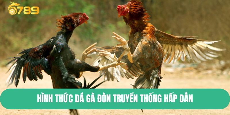 Hình thức đá gà đòn truyền thống hấp dẫn