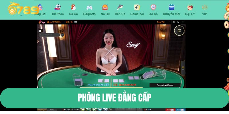 Phòng live đẳng cấp